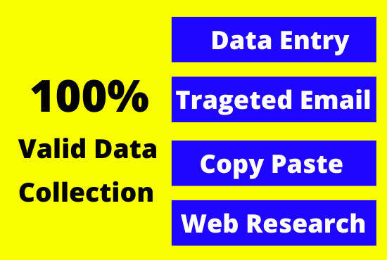 Gig Preview - Do fast lead generation and accurate data entry