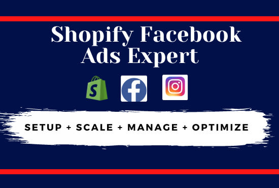 Gig Preview - Setup and manage facebook ads campaign for dropshipping store