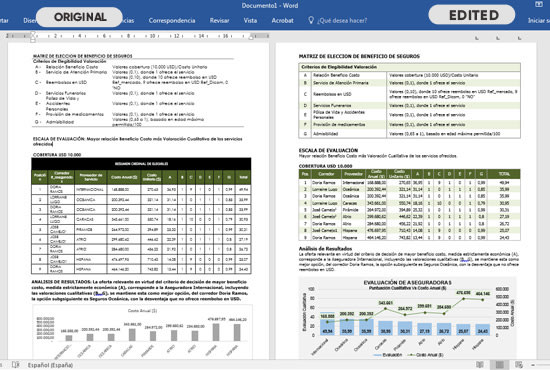 Gig Preview - Professional editing, formatting of microsoft word documents