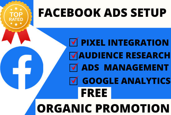 Gig Preview - Set up facebook conversion ads, pixel installation and manage fb business page