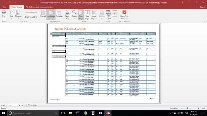 Gig Preview - Develop application in ms access database