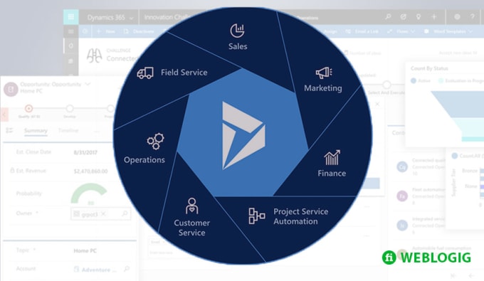 Gig Preview - Configure and customize your dynamics 365 sales or marketing app