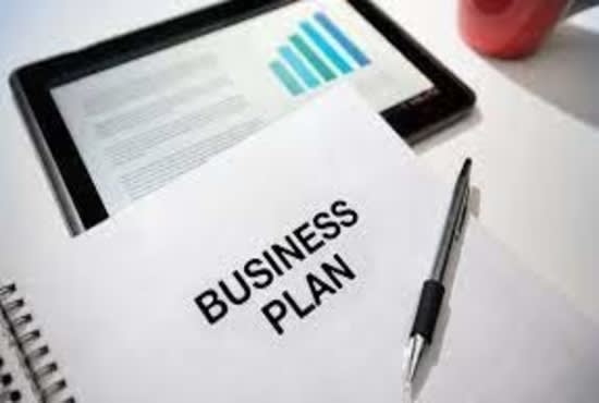 Gig Preview - Prepare investment ready business plan