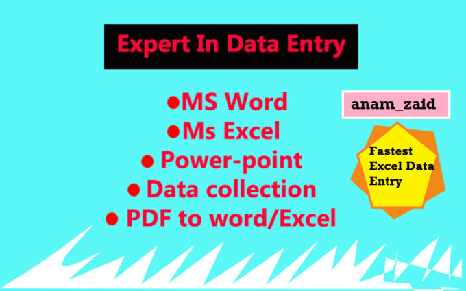 Gig Preview - Do fastest excel data entry