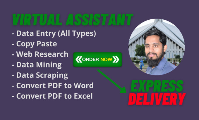 Gig Preview - Do excel data entry, mining, scraping, virtual assistant