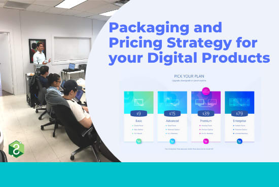 Gig Preview - Write the pricing and packaging playbook for your digital product
