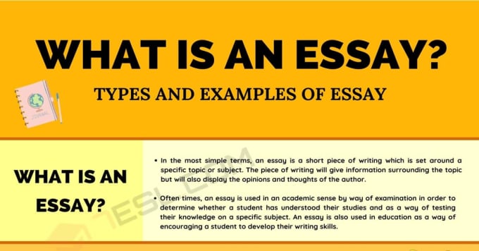 Gig Preview - Write convincing professional essays