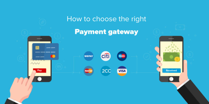 Gig Preview - Integrate any payment gateway to your ecwid store