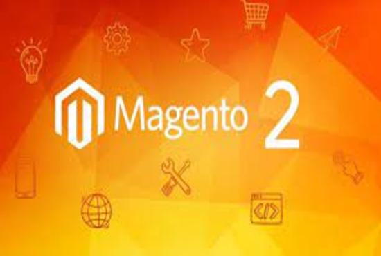 Gig Preview - Develop and customize magento 1 and 2 module