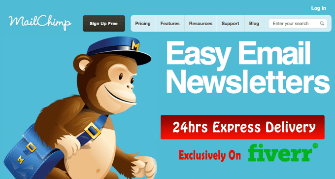 Gig Preview - Design an editable and responsive mailchimp email template