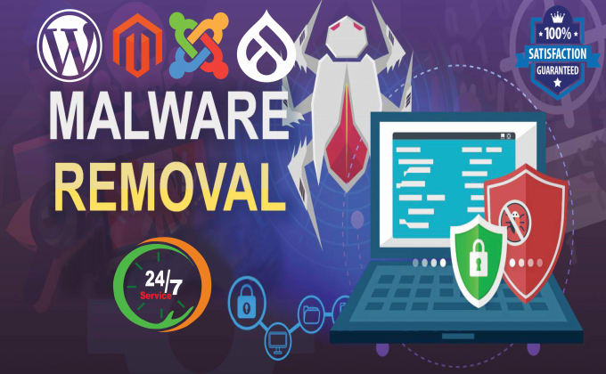 Gig Preview - Remove malware from any website within 5hrs