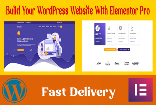 Gig Preview - Redesign, clone, customize wordpress website with elementor pro