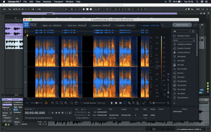 Gig Preview - Professionally edit your dialogue audio recordings