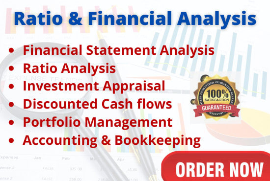 Gig Preview - Perform financial statements, ratio analysis and accounting