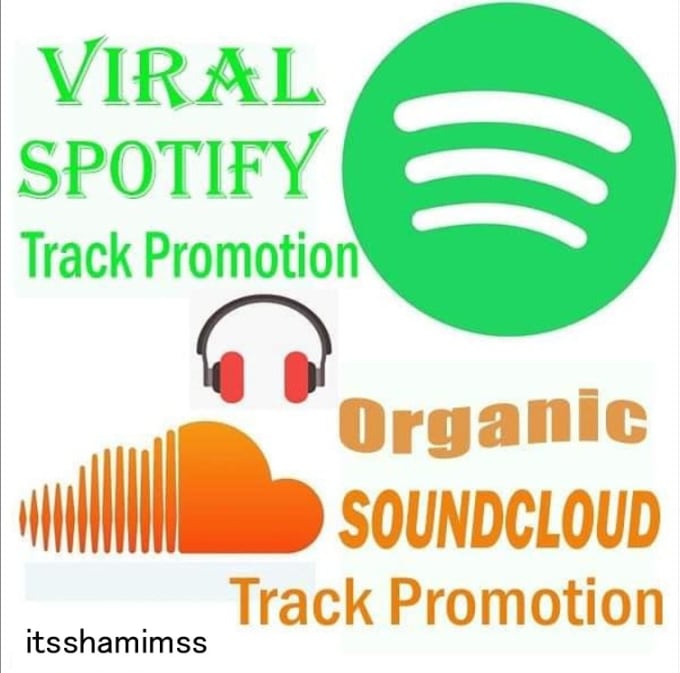 Gig Preview - Do organic spotify and soundcloud promotion targeted audience