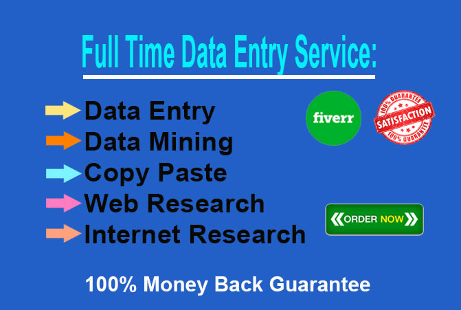 Gig Preview - Be your virtual assistant for data entry, copy paste, web research, typing