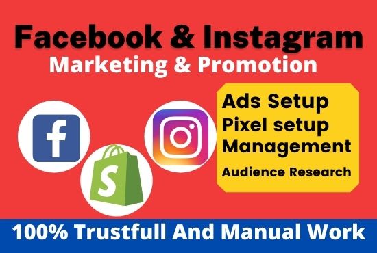 Gig Preview - Setup and manage facebook ads and do instagram marketing