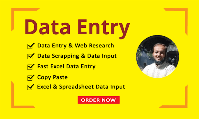 Gig Preview - Do perfect data entry and web research