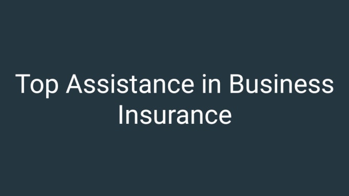 Gig Preview - Be your online business insurance tutor