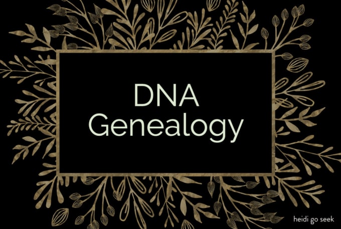 Gig Preview - Research your genetic genealogy