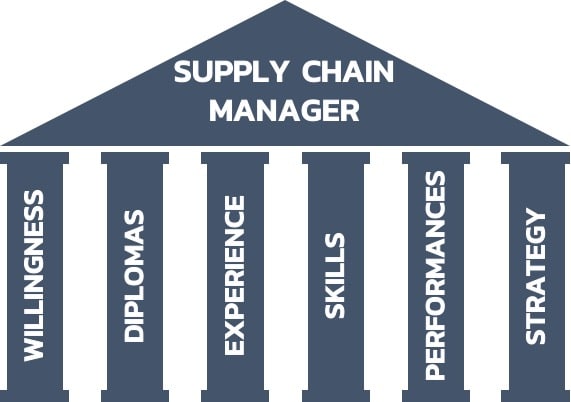 Gig Preview - Be your supply chain consultant