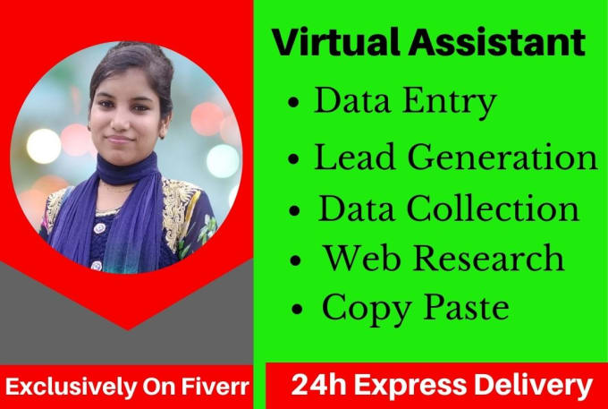 Gig Preview - Be your professional virtual assistant for data entry, web research in 24 hours