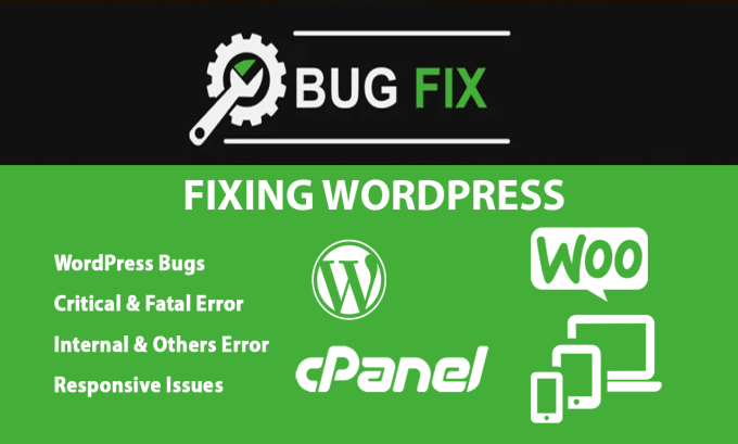 Gig Preview - Fix website bugs, errors, responsive problems, or 404 error