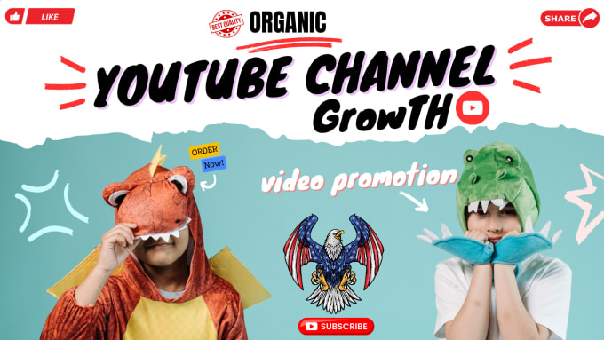 Gig Preview - Grow youtube channel by fast organic video promotion