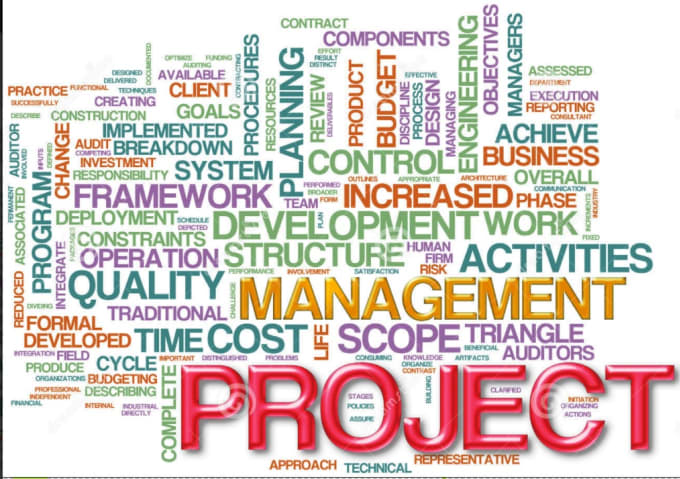 Gig Preview - Do your project management and contract management task