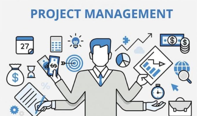 Gig Preview - Help in app project management and online consultation