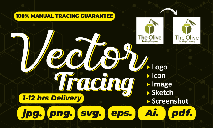 Gig Preview - Cleanup or enhance logo by vector tracing and edit, redesign, redraw or recreate