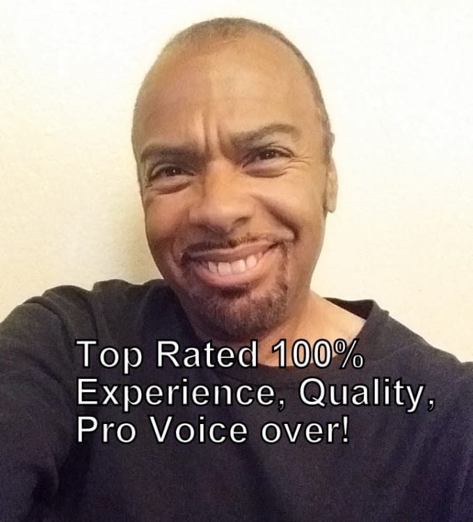 Gig Preview - Record a male voice over in 24 hours or less