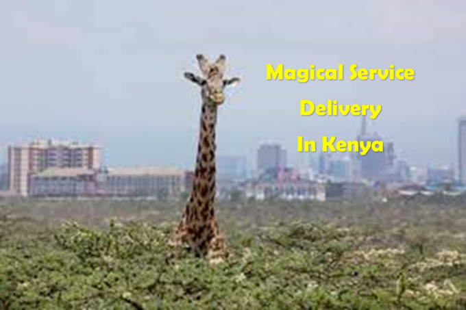 Gig Preview - Get everything done perfectly for you in nairobi and rest of kenya