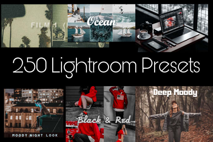 Gig Preview - Deliver 250 lightroom presets