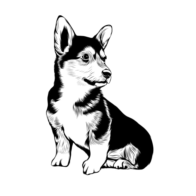 Gig Preview - Draw vector line art for your pet 24 hours