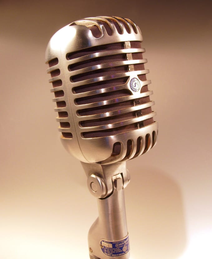 Bestseller - record professional vocals on your project