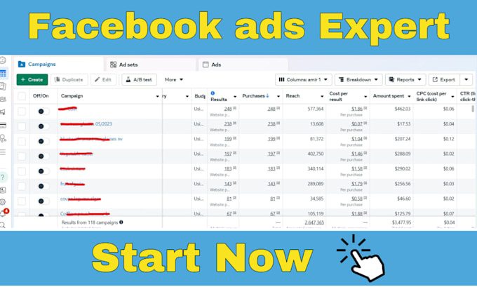 Gig Preview - Set up facebook and instagram ads for leads and sales