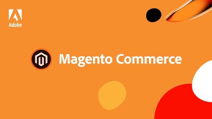 Gig Preview - Work, fix or customize your magento  website