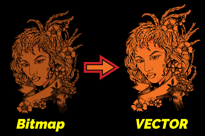 Gig Preview - Do vector tracing for your raster logo or image in 24 hrs