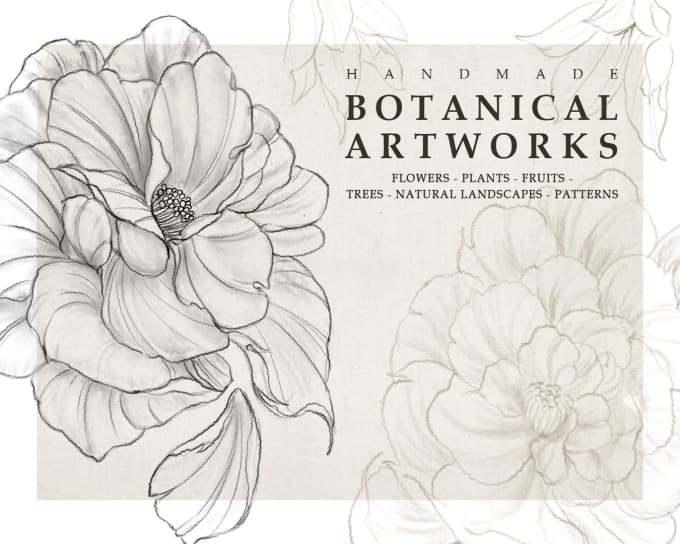 Gig Preview - Do botanical illustrations of flowers, plants with ink