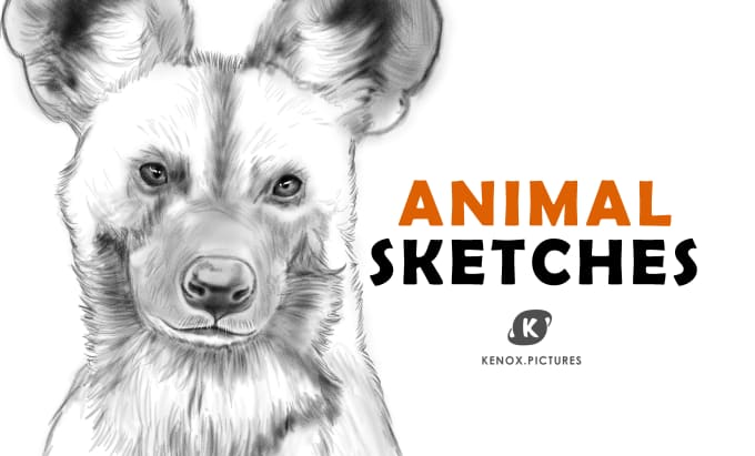 Bestseller - make a digital sketch of an animal