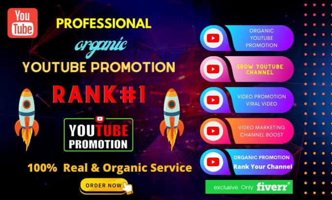 Gig Preview - Do youtube video promotion and channel  viral video to organic promotion