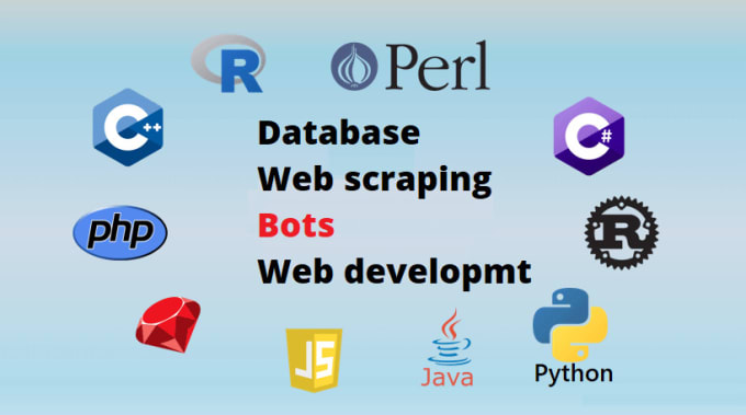 Gig Preview - Be python java c sql database, bot programming script project, website developer