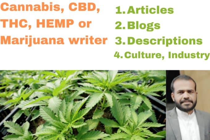 Gig Preview - Write cbd, cannabis, hemp, and marijuana articles and blogs