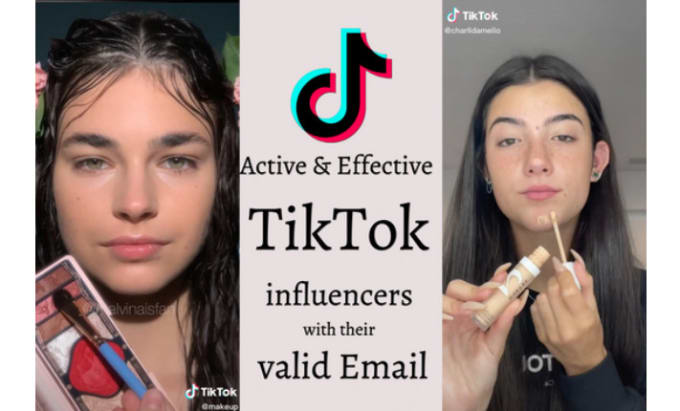 Gig Preview - Research effective tiktok influencers with valid data and strategy