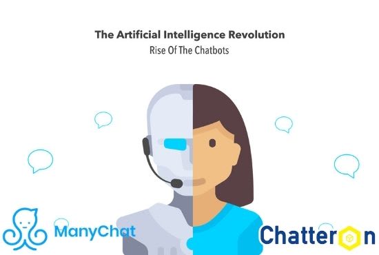 Gig Preview - Design a professional manychat chatbot for your business