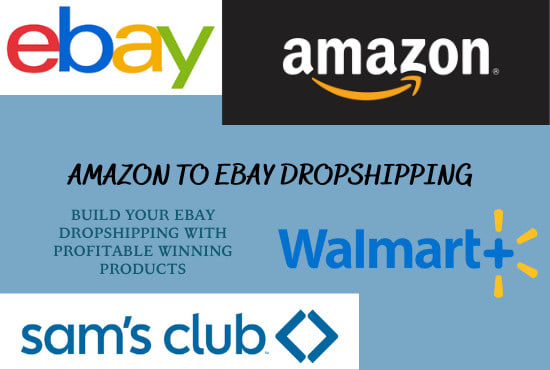 Gig Preview - Manage your ebay dropshipping store with winning products