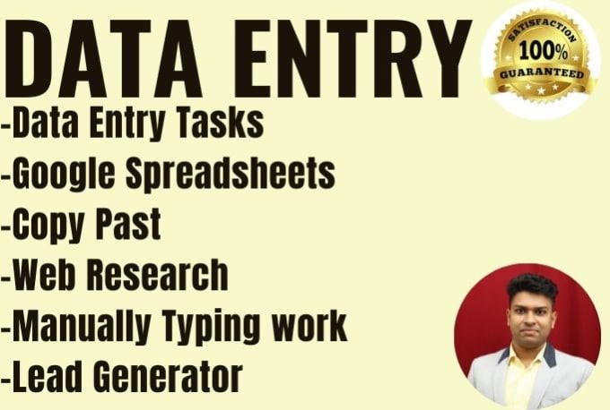 Gig Preview - Expert data entry and web research work