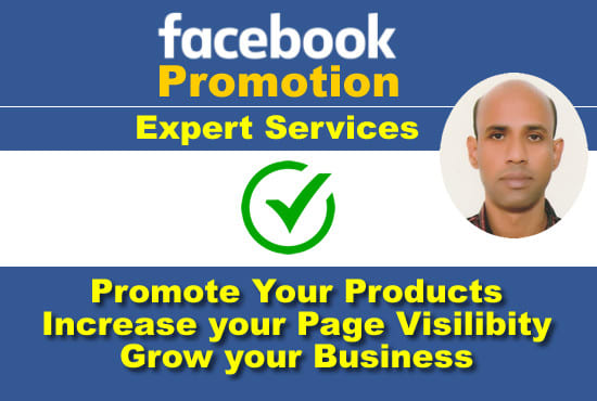 Gig Preview - Do facebook marketing and promotion for your business