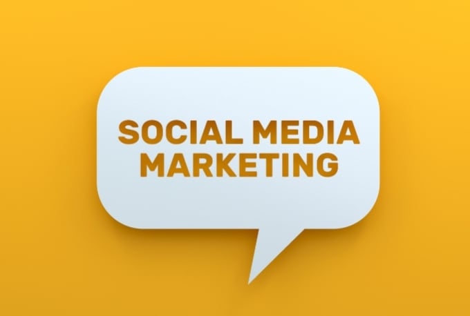 Gig Preview - Be your social media marketing manager, fb, ig, twitter, pinterest, and linkedin